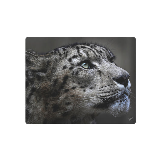 Snow Leopard | Metal Art Sign