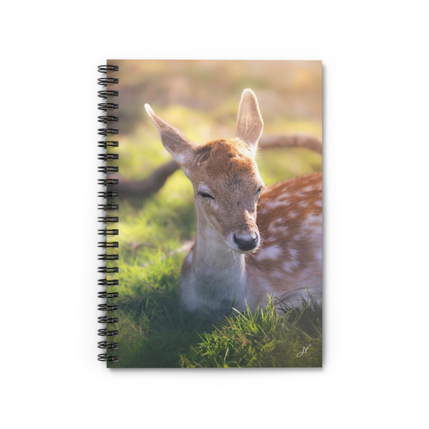 Fawn Notebook/Post-It Bundle