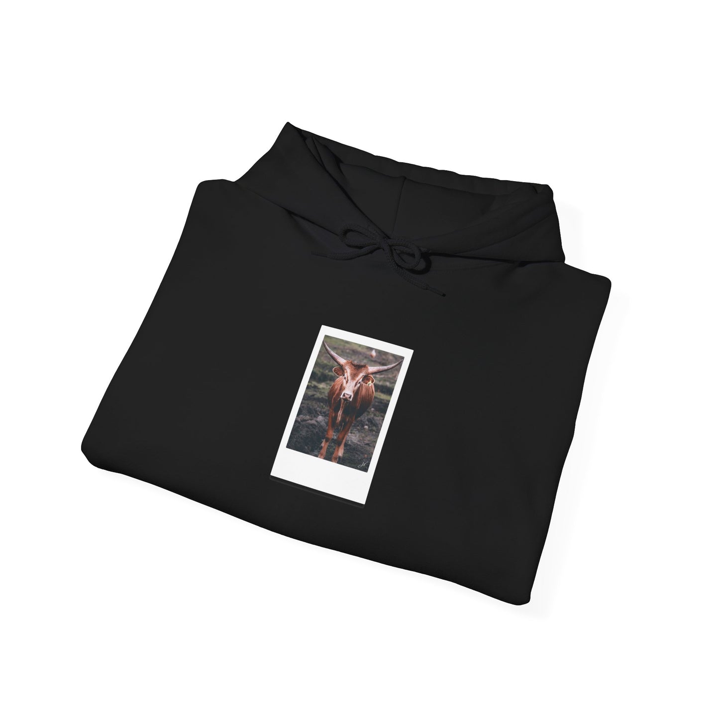 Longhorn Cow | Hoodie