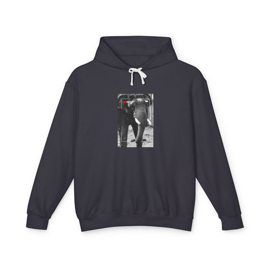 Elephant In Focus | Hoodie