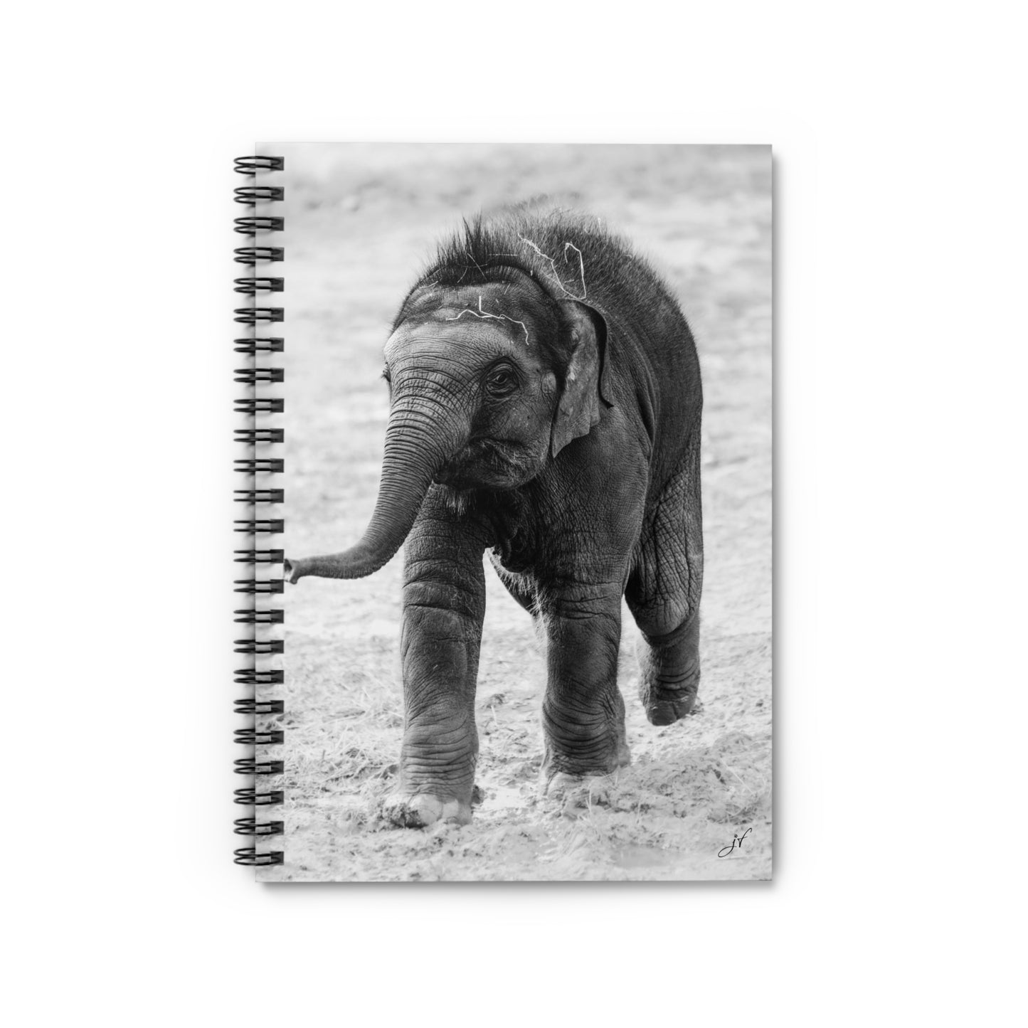 Elephant Notebook/Post-It Bundle