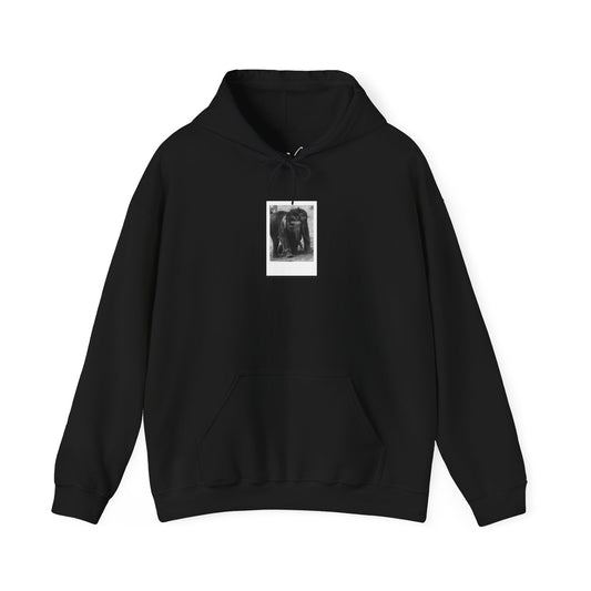Twin Elephants | Hoodie