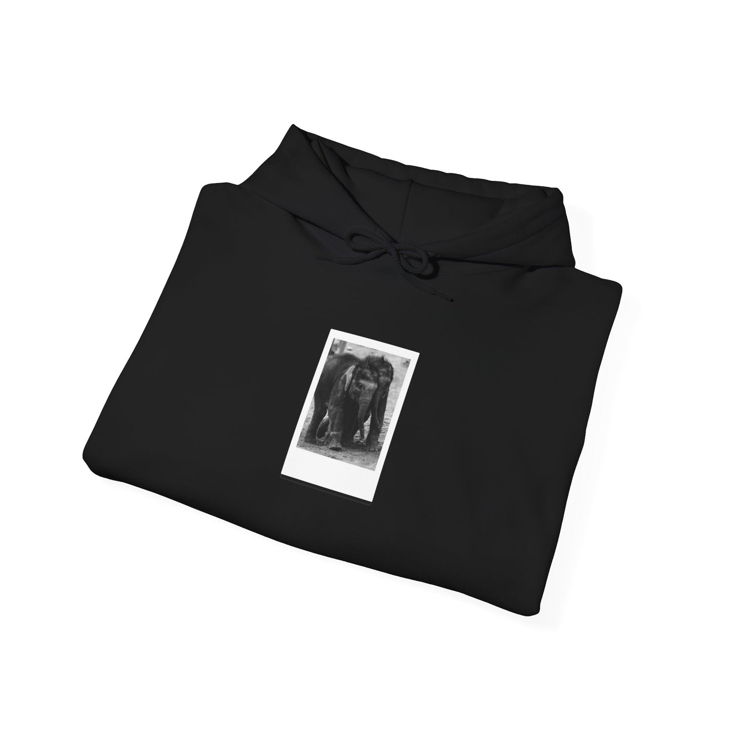 Twin Elephants | Hoodie