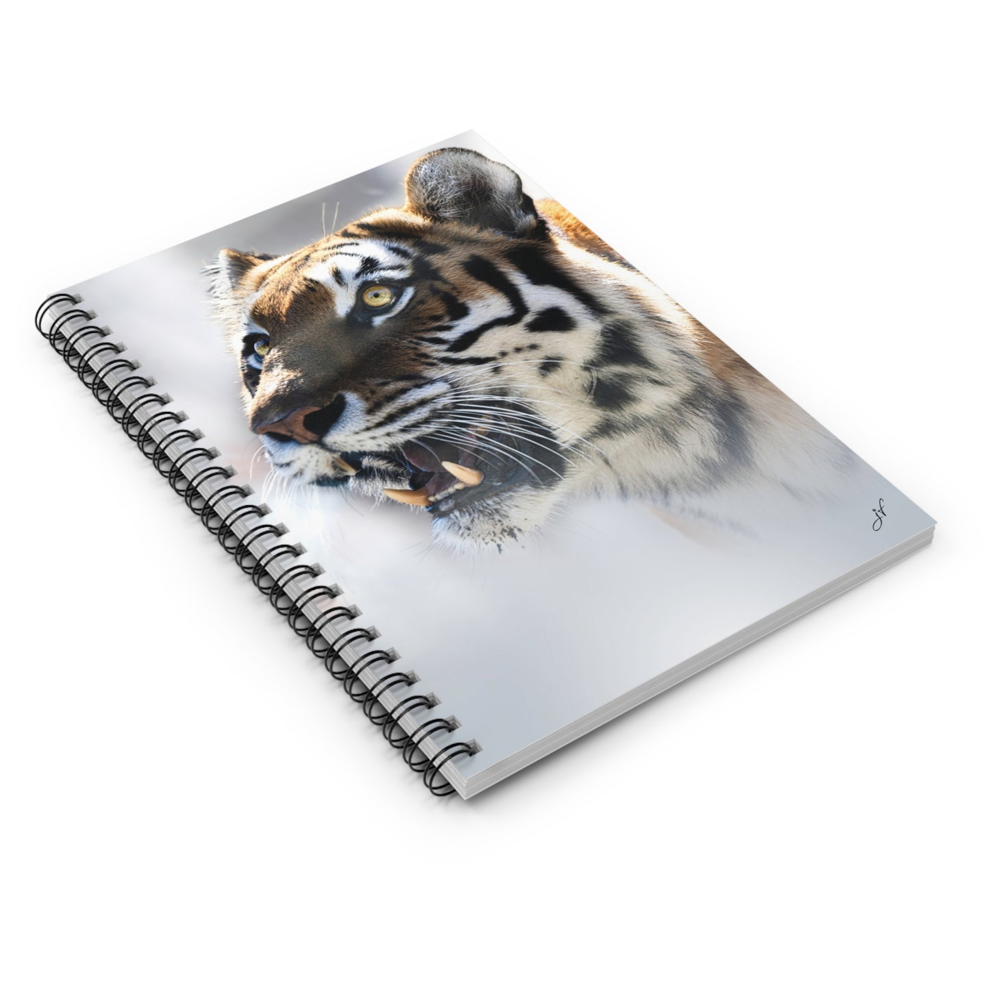Tiger Notebook/Post-It Bundle