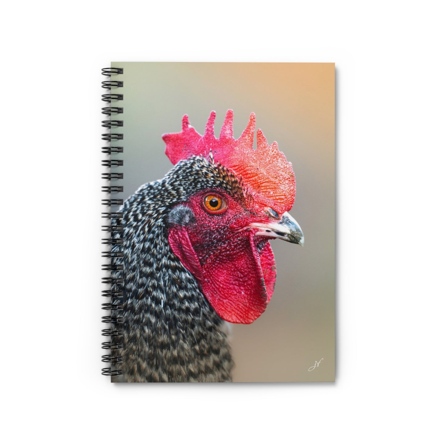 Rooster Notebook/Post-It Bundle