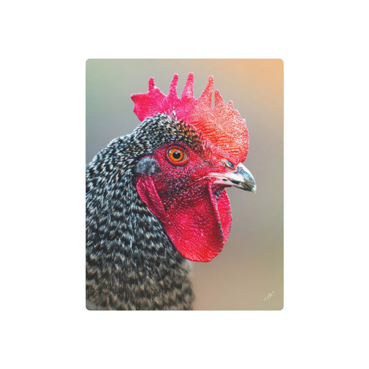 Rooster | Metal Art Sign