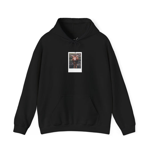Longhorn Cow | Hoodie