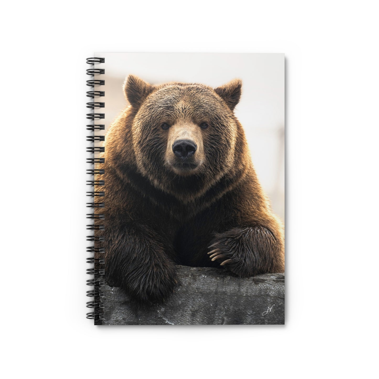 Bear Notebook/Post-It Bundle