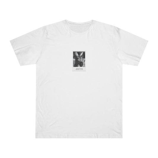 Zebra Bundle (Coaster Set, Mug and T-Shirt)