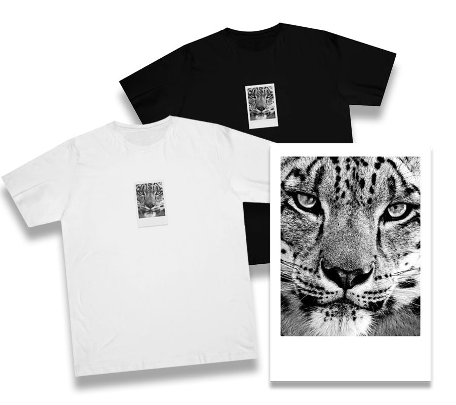 Photographs of the Wild