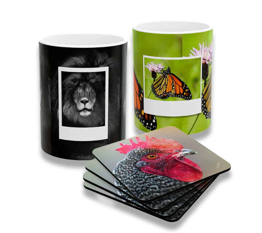 Mugs and Coaster Sets