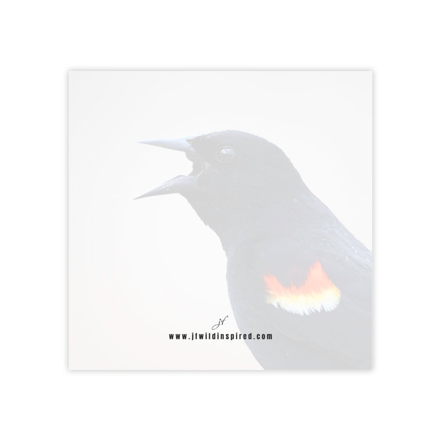 Red-Winged Blackbird | Post-It Note Stack