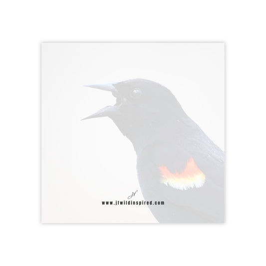 Red-Winged Blackbird | Post-It Note Stack