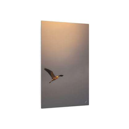 Blue Heron Golden Hour Flight | Metal Wall Art Sign