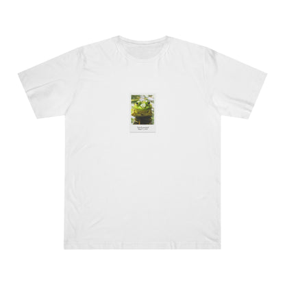 Frog Bundle (Coaster Set, Mug and T-Shirt)