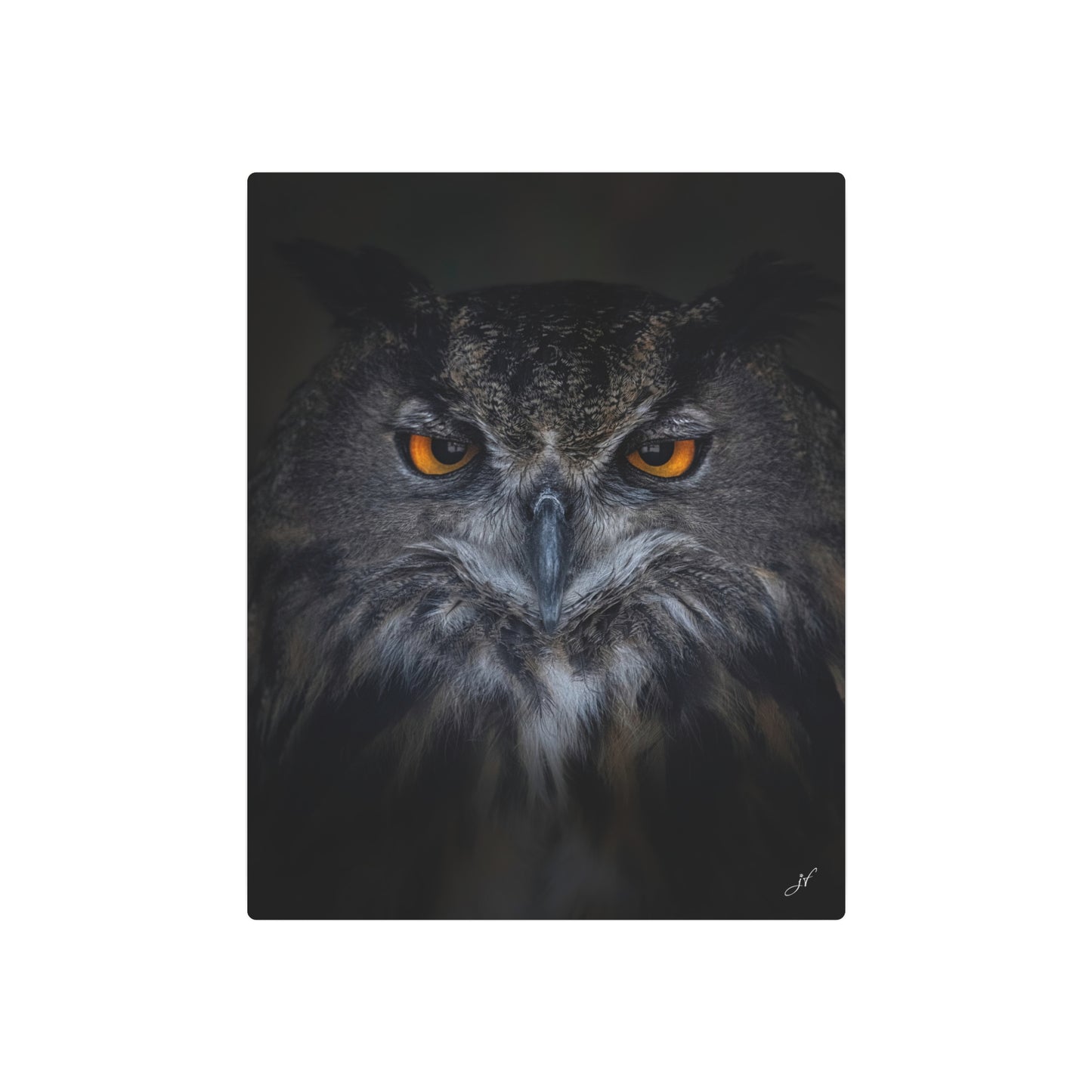 Owl | Metal Art Sign