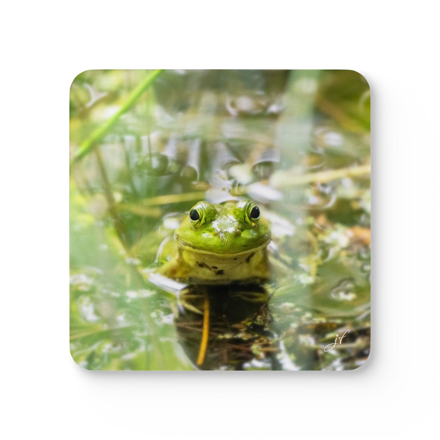 Frog | Corkwood Coaster Set (4 Piece)