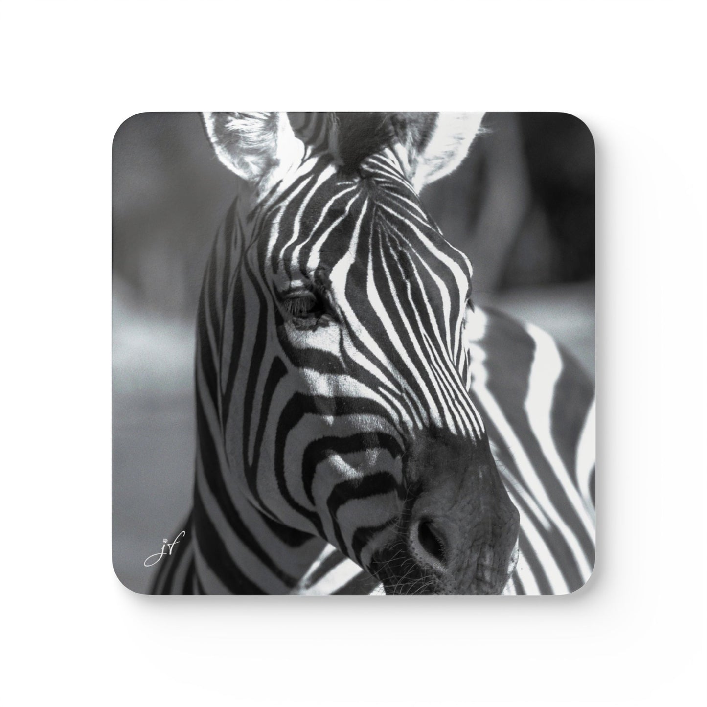Zebra | Corkwood Coaster Set (4 Piece)