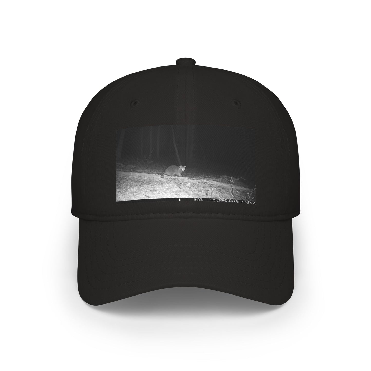 Trail Cam Raccoon | Hat