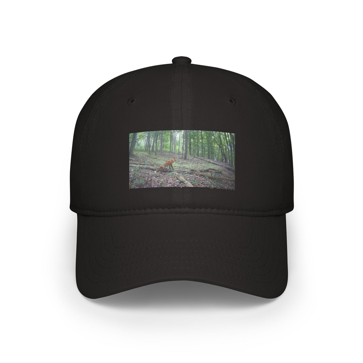 Trail Cam Fox | Hat