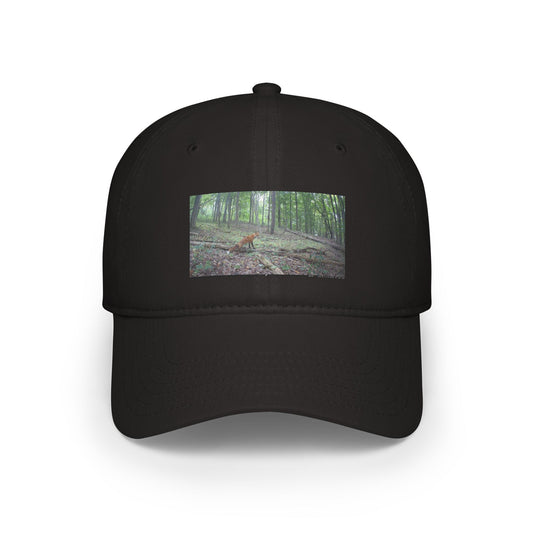 Trail Cam Fox | Hat