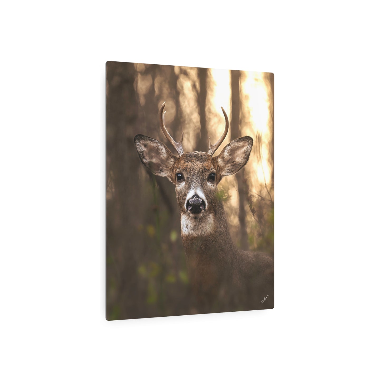 6 Point Buck | Metal Art Sign