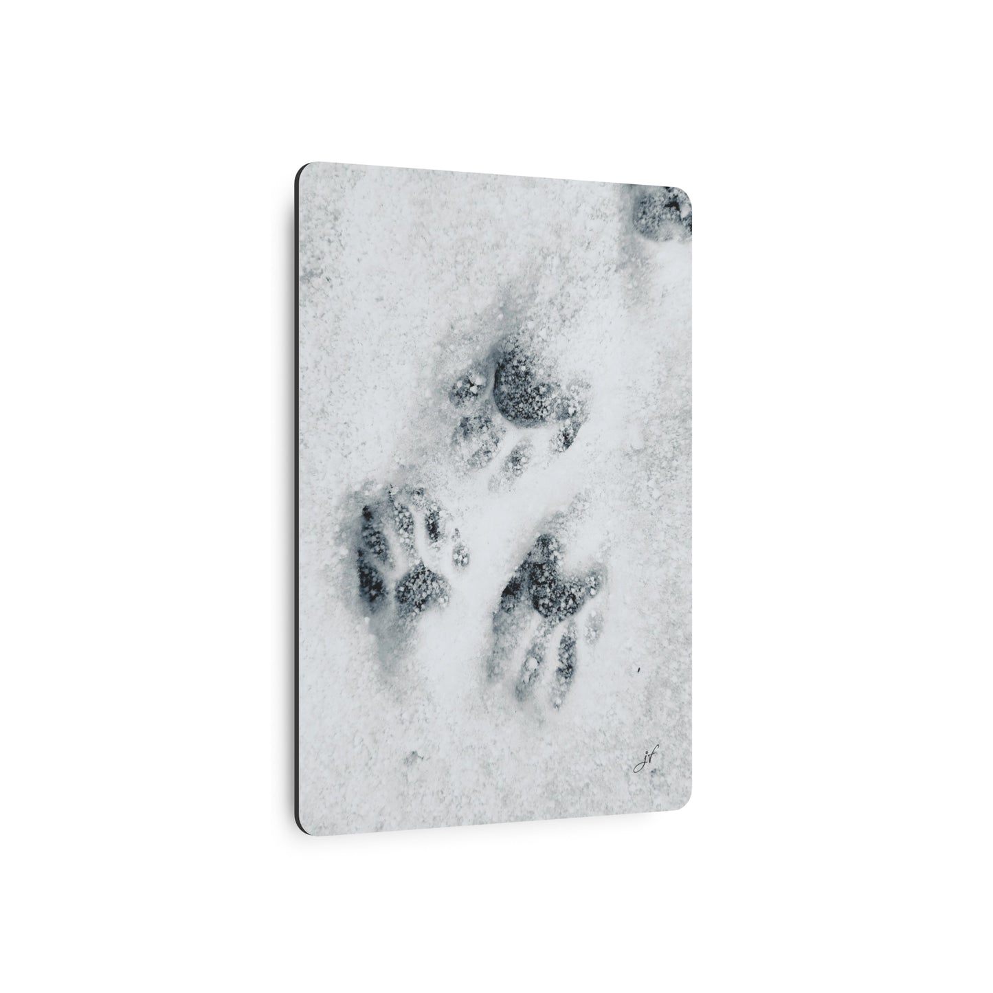 Raccoon Tracks | Metal Art Sign