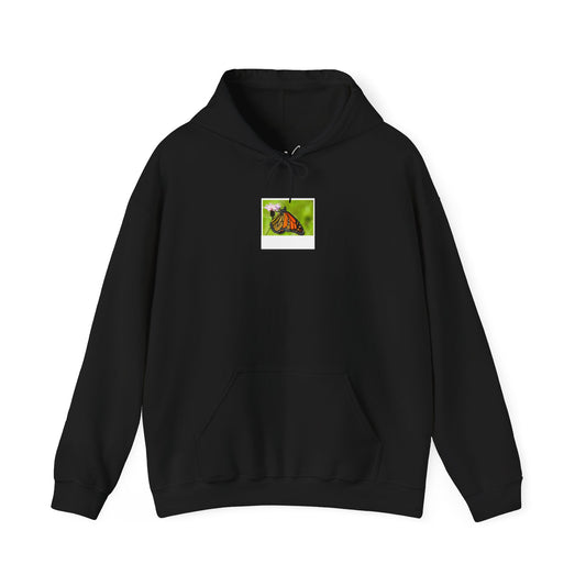Butterfly | Hoodie