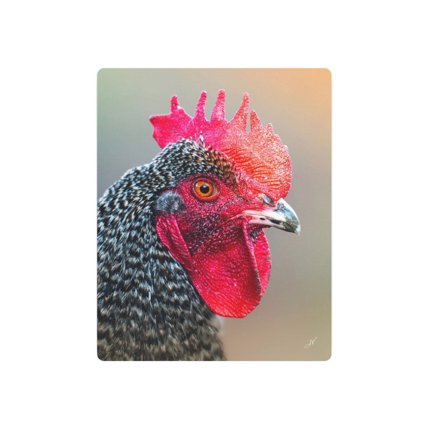 Rooster | Metal Art Sign