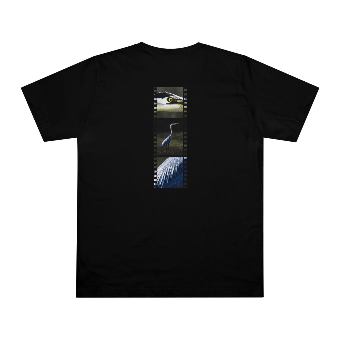 Blue Heron In Focus | T-Shirt
