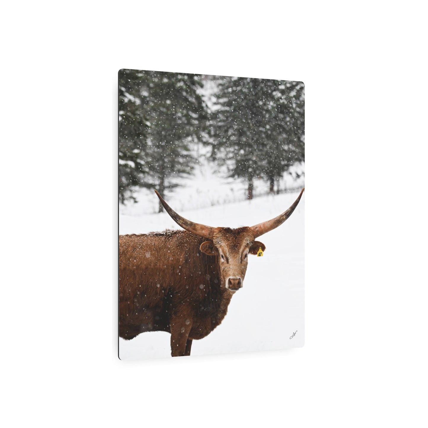 Winter Longhorn Cow | Metal Art Sign