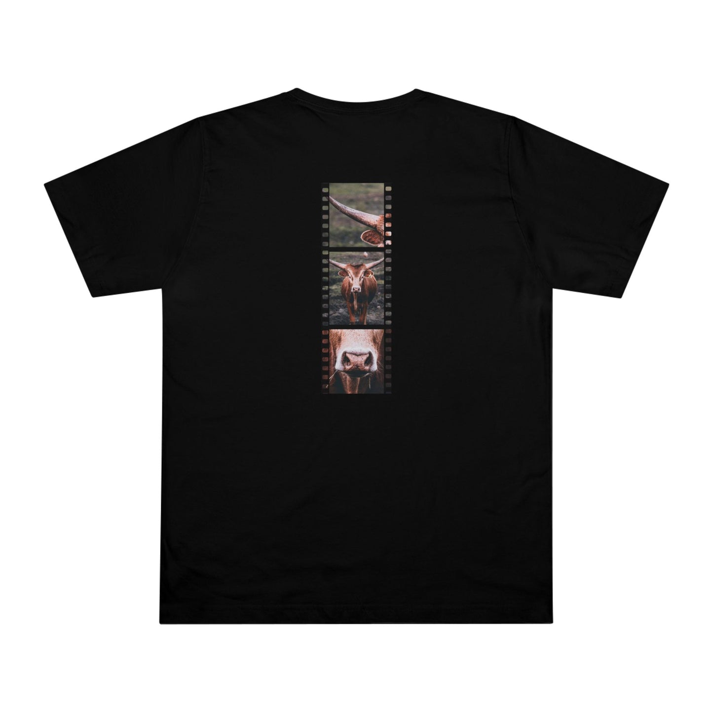 Longhorn Cow In Focus | T-Shirt