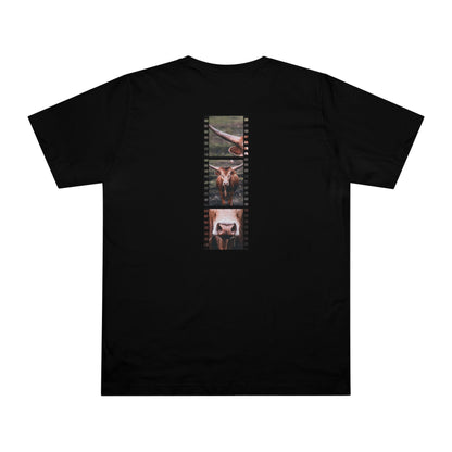 Longhorn Cow In Focus | T-Shirt