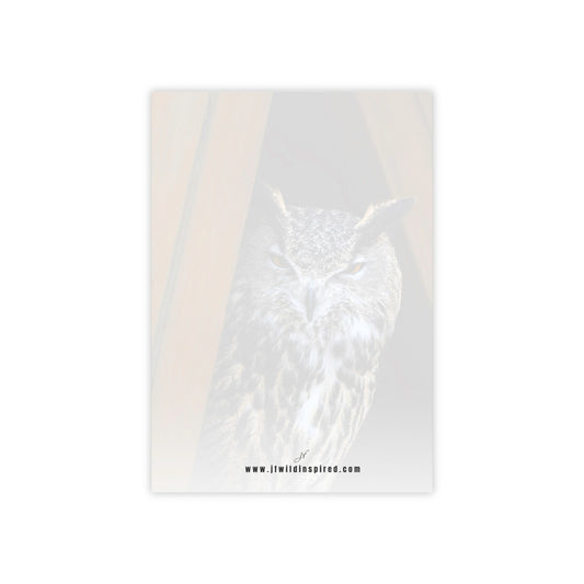 Owl | Post-It Note Stack