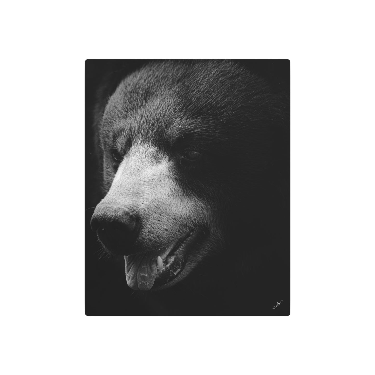 Black Bear | Metal Art Sign