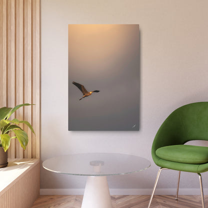 Blue Heron Golden Hour Flight | Metal Wall Art Sign