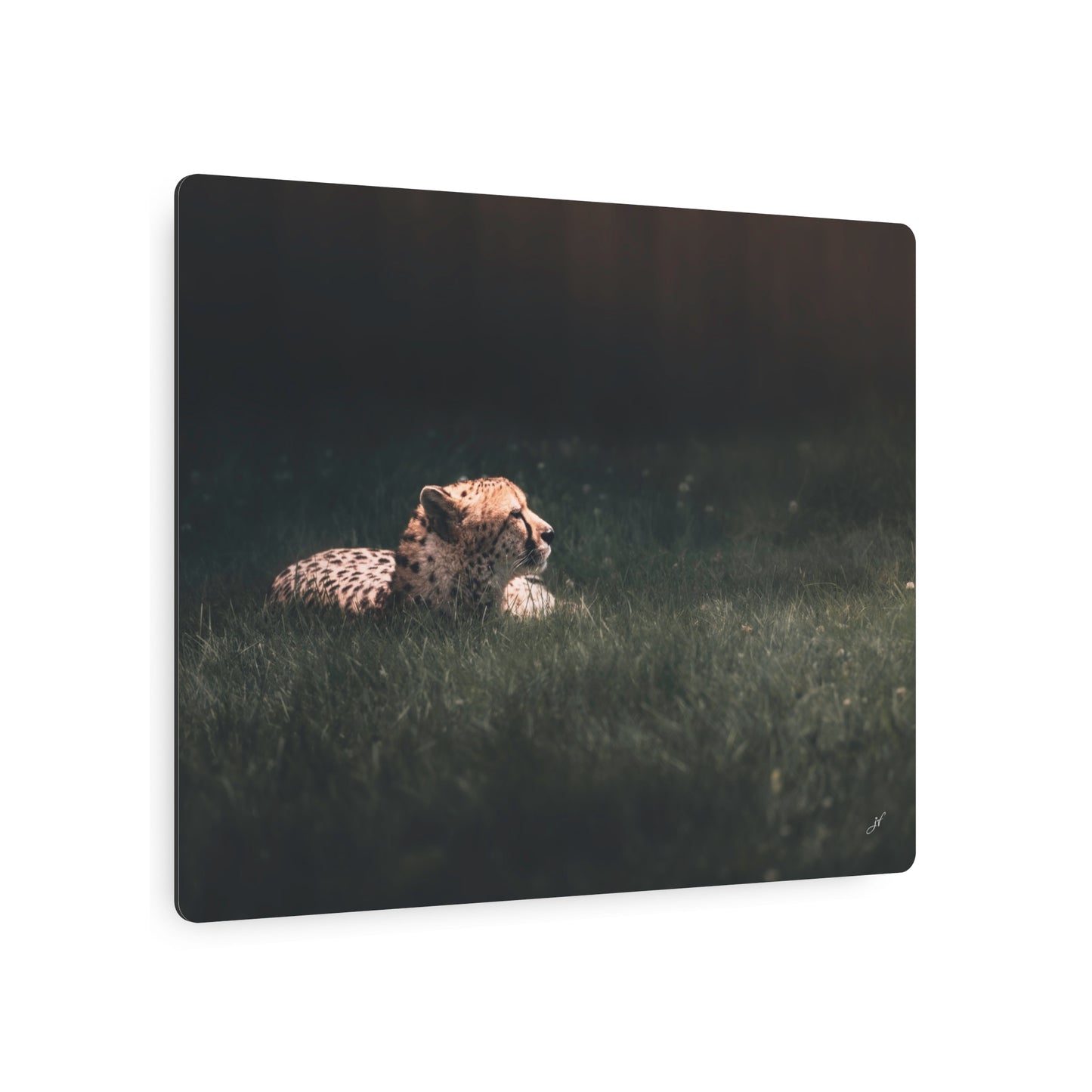 Cheetah | Metal Art Sign