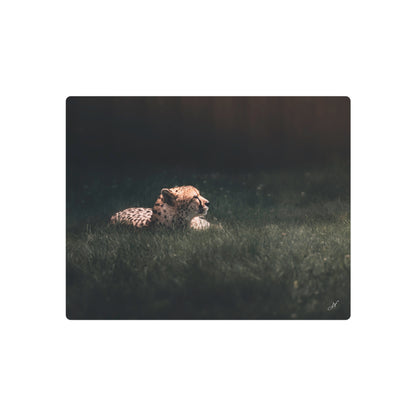 Cheetah | Metal Art Sign