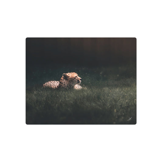 Cheetah | Metal Art Sign