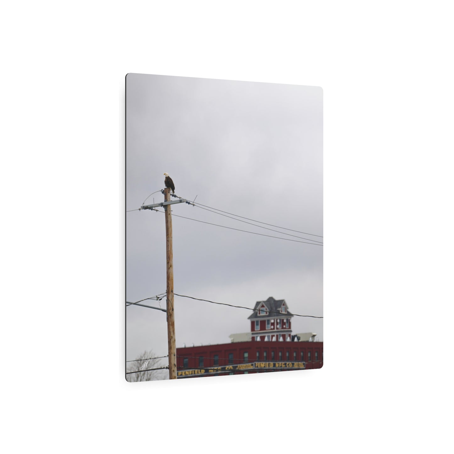 Bald Eagle & Syracuse Factory | Metal Wall Art Sign