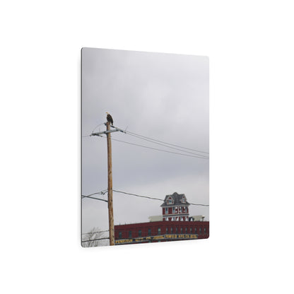 Bald Eagle & Syracuse Factory | Metal Wall Art Sign