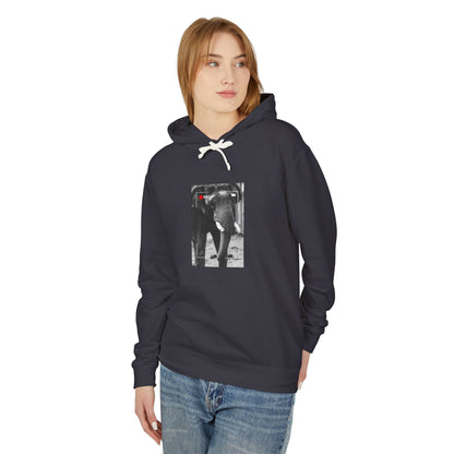 Elephant In Focus | Hoodie