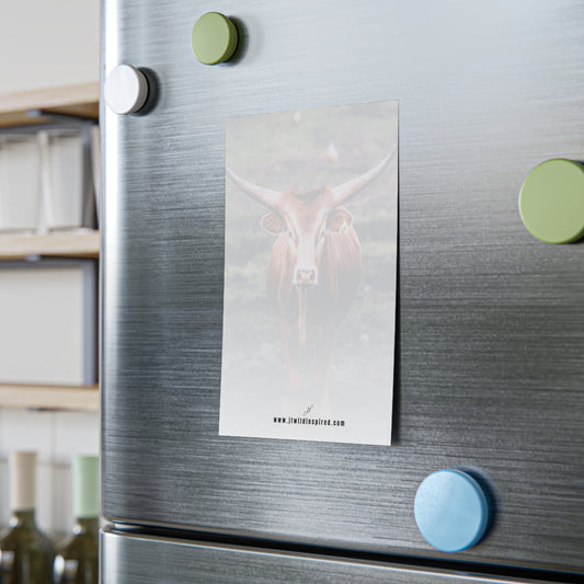 Longhorn Cow Notebook/Post-It Bundle