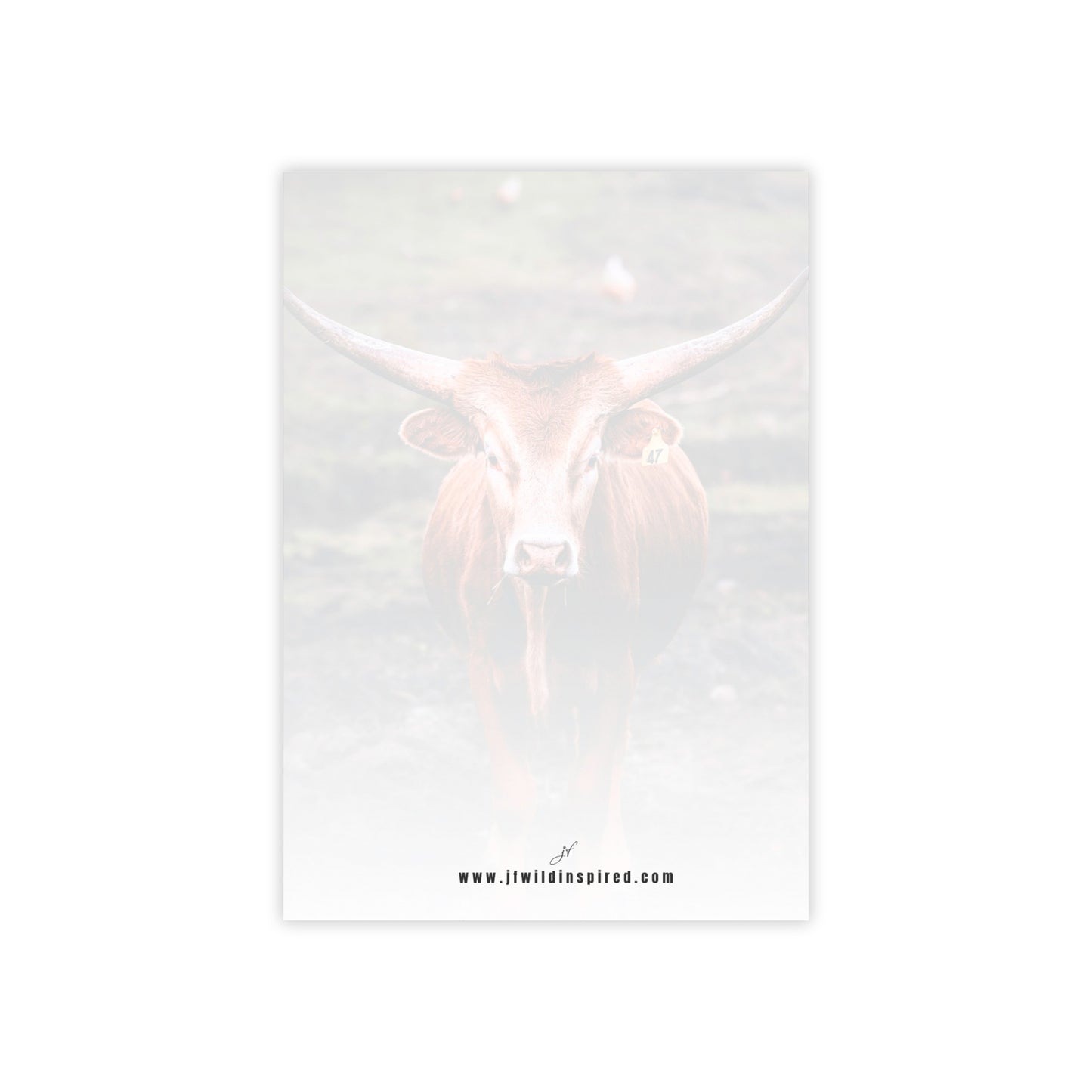 Longhorn Cow | Post-It Note Stack