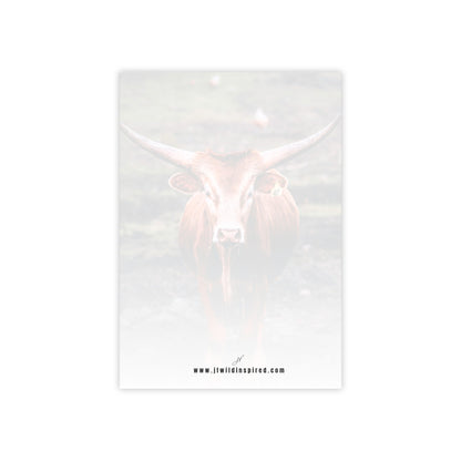 Longhorn Cow | Post-It Note Stack