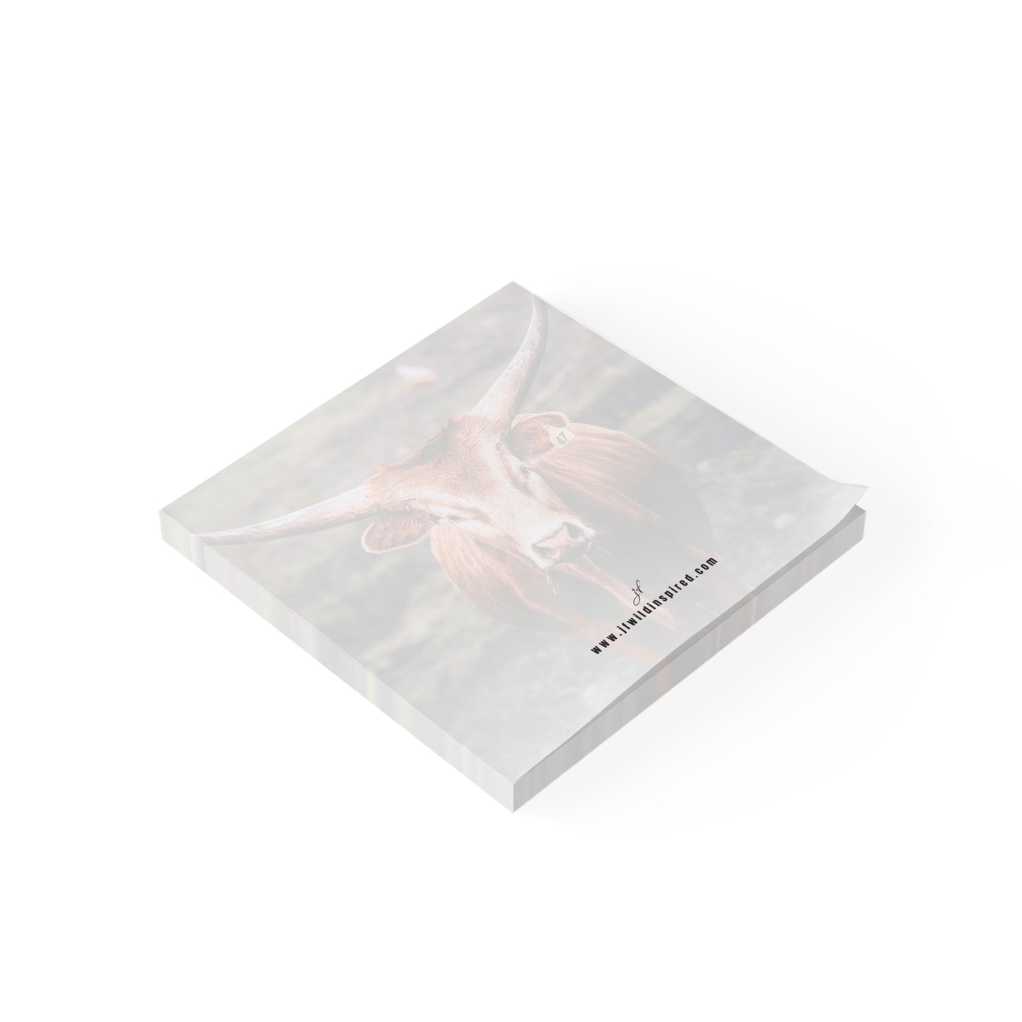 Longhorn Cow | Post-It Note Stack