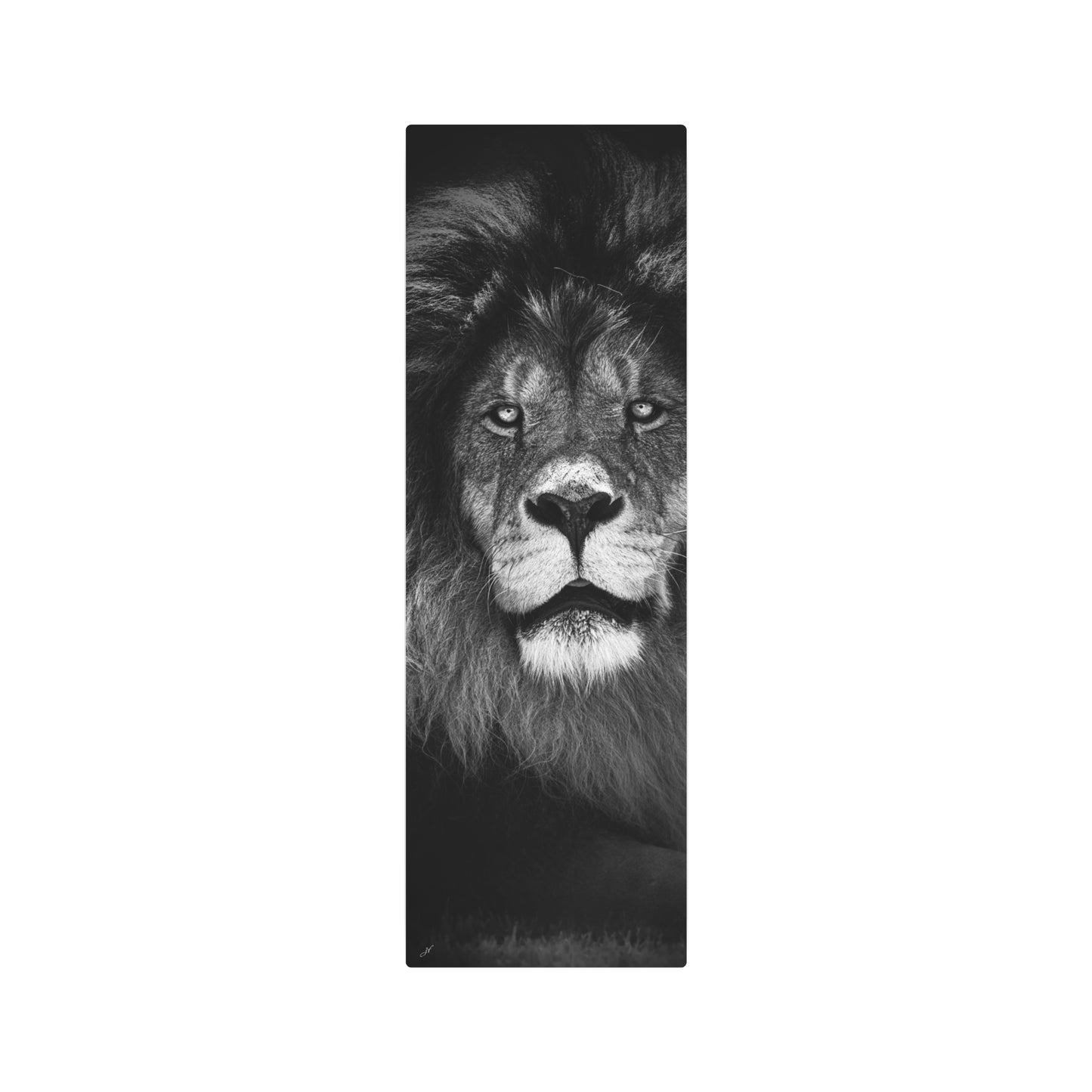 Lion | Metal Art Sign