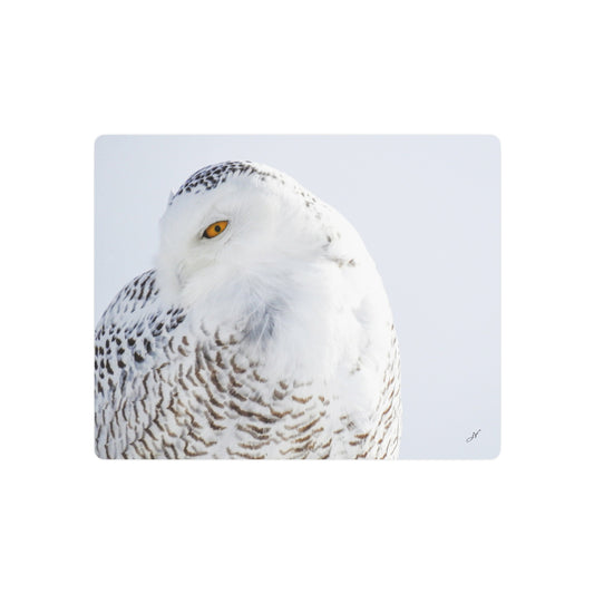 Snowy Owl | Metal Art Sign