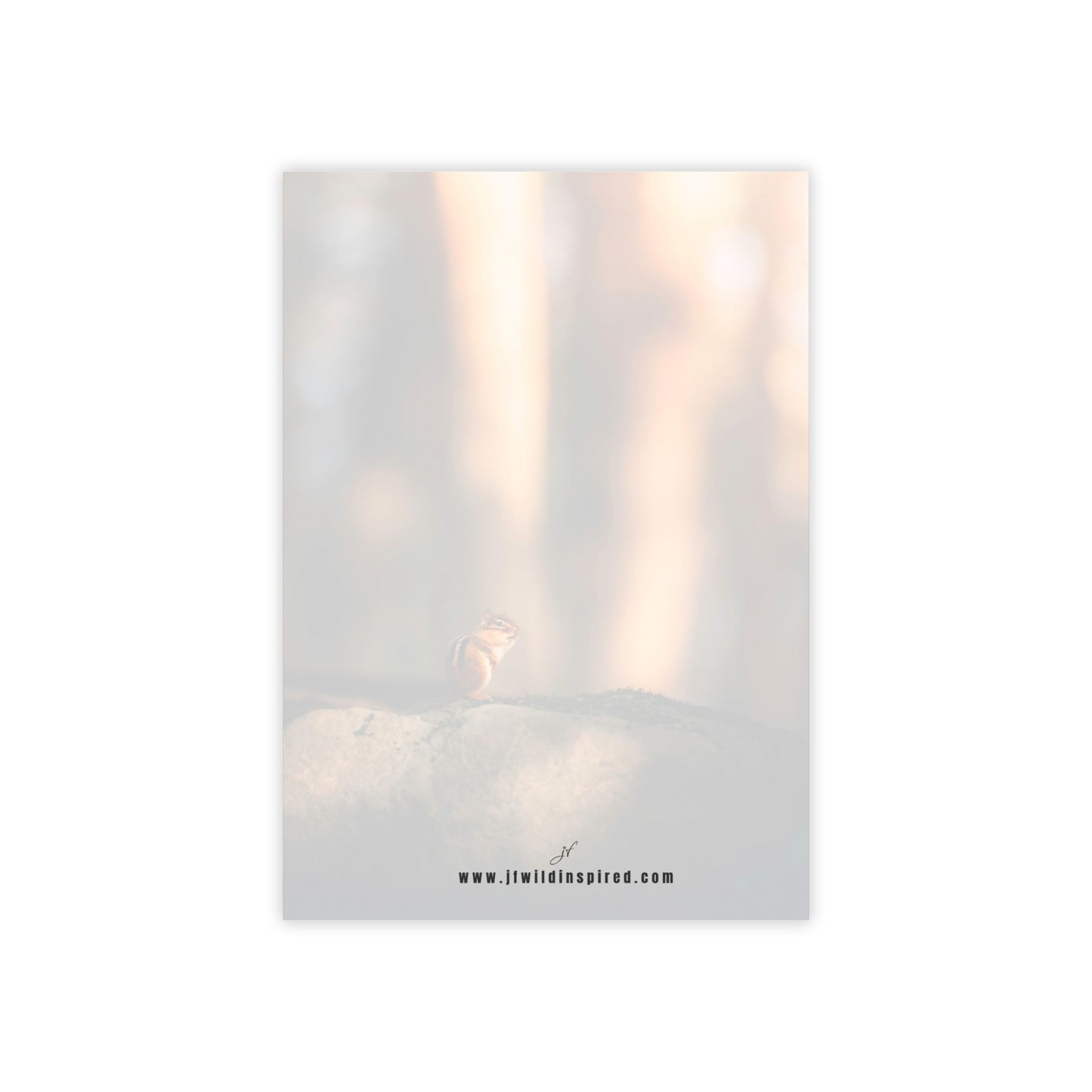 Chipmunk Notebook/Post-It Bundle