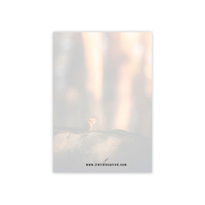 Chipmunk Notebook/Post-It Bundle